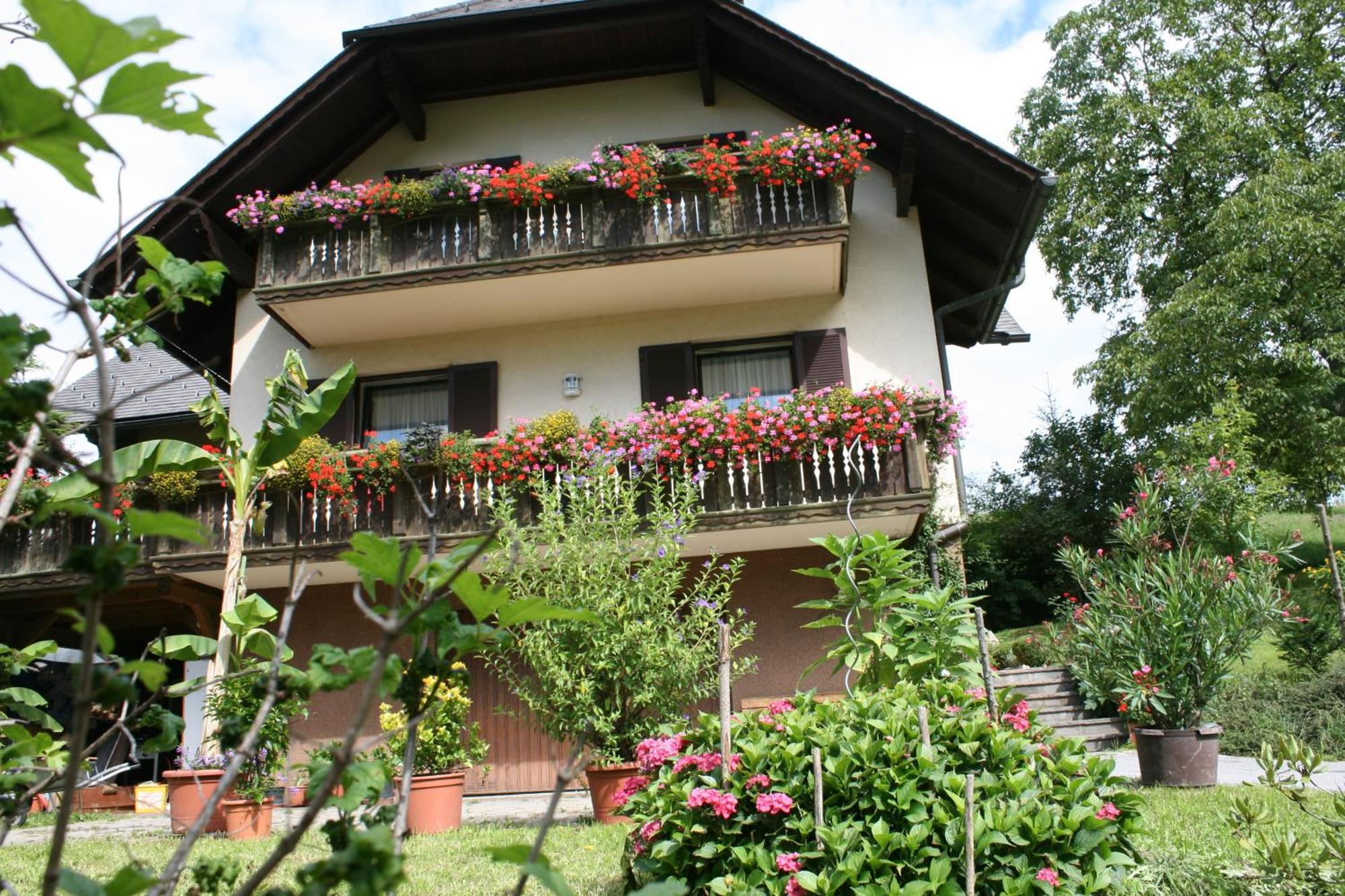 Gasthaus - Gaestehaus Schusterbauer Rein Eksteriør bilde